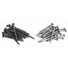 Galvanized or Polished Common Iron Nails (factory)